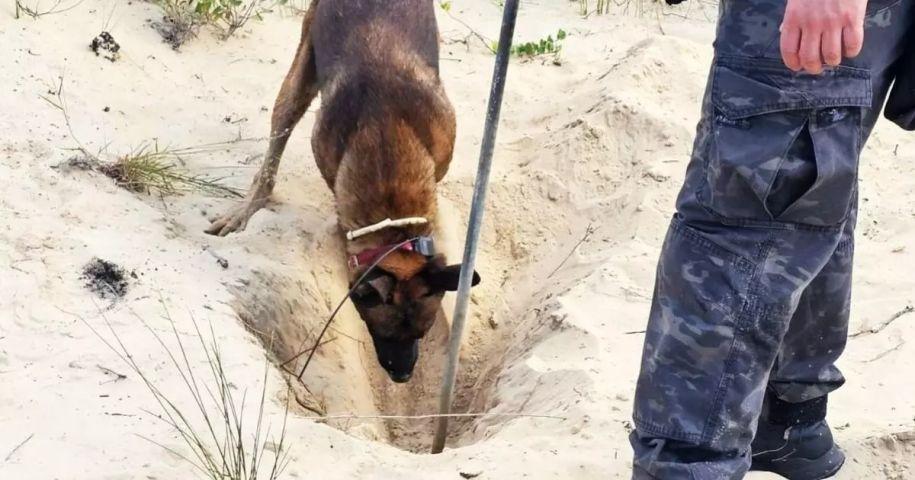 Corpo é encontrado nas dunas de Balneário Rincão