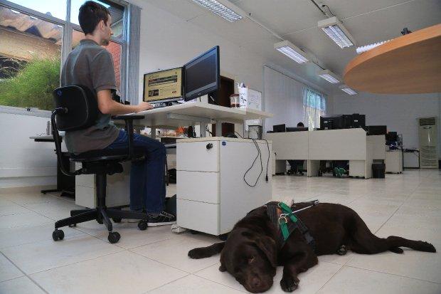 Cresce a empregabilidade da pessoa com deficiência no mercado de trabalho formal em Santa Catarina