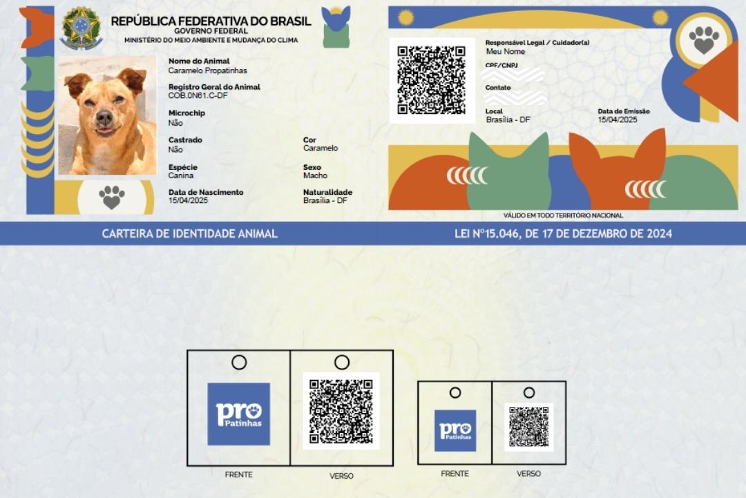 RG para cães e gatos: tire dúvidas sobre a nova ação do Governo Federal