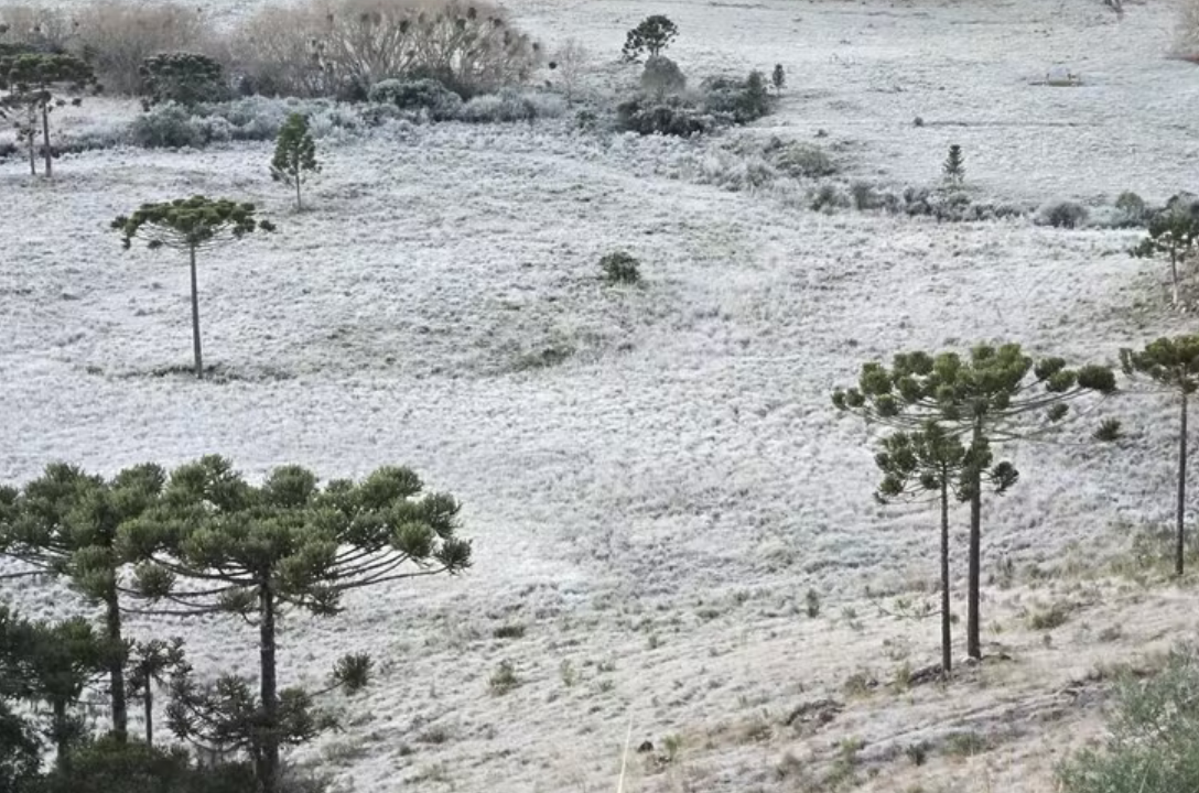 Neve é esperada em Santa Catarina nesta quinta-feira