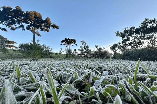 Inverno inicia hoje com previsão de frio intenso, geadas, nevoeiros e possibilidade de chuva no litoral