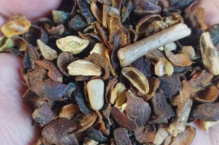 Procon de Capivari alerta: marcas de café torrado estão proibidas para consumo, segundo Ministério da Agricultura