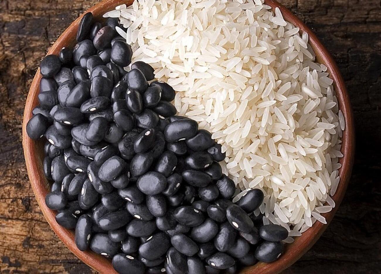 Alesc recebe pacote com 58 projetos de lei do Executivo