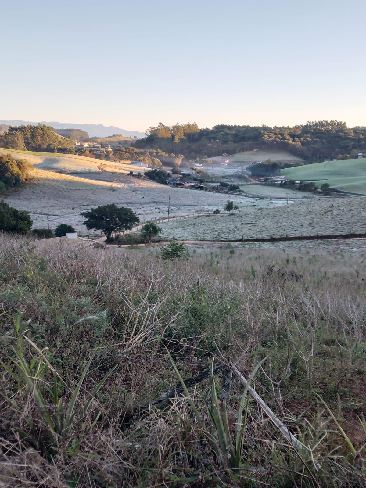 Pinheiral registra -1 grau