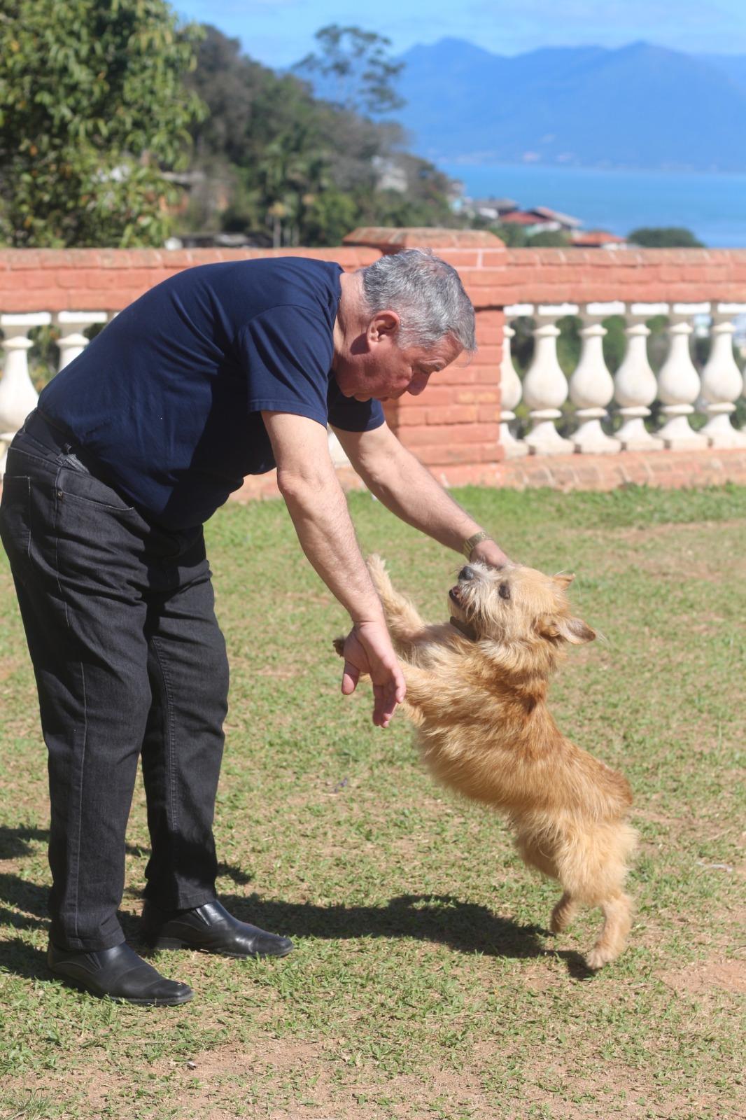 Alesc aprova Dia da Conscientização sobre a Castração Animal