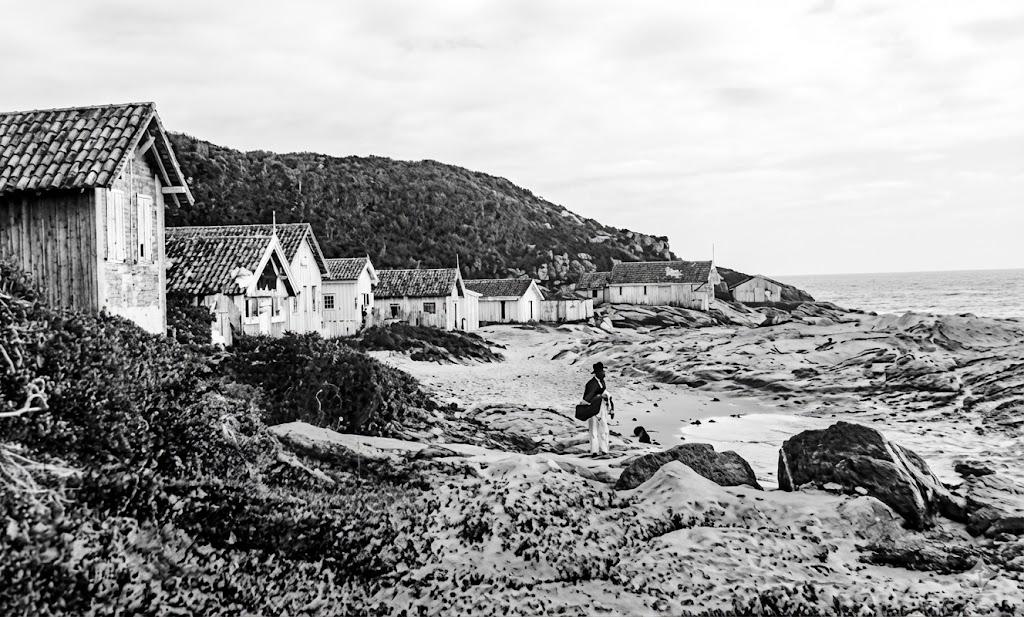 📰 Registro histórico revela a antiga paisagem do Mar Grosso