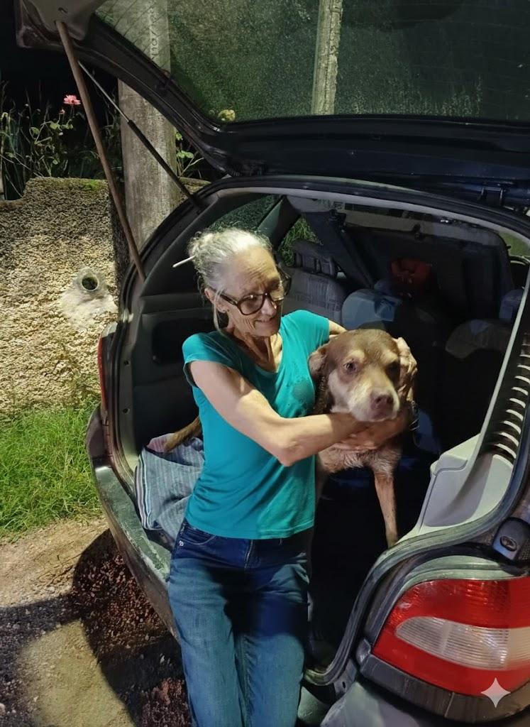 🚒 Bombeiros resgatam pitbulls presos em tubo de 8 metros de profundidade em Tubarão