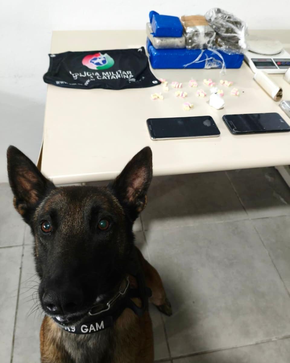 🚨PM desmantela central de tele-entrega de drogas em Tubarão