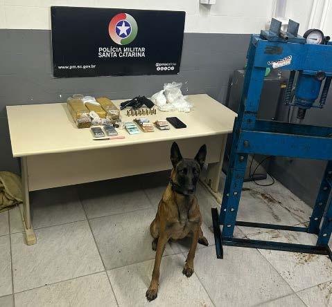 🔎 Adolescente é resgatada de sequestro em Criciúma