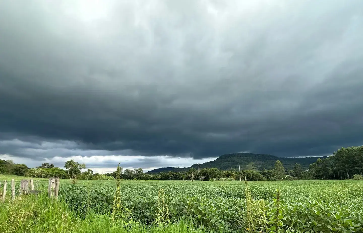 🌡️ Calor intenso e temporais isolados marcam o início da semana em SC