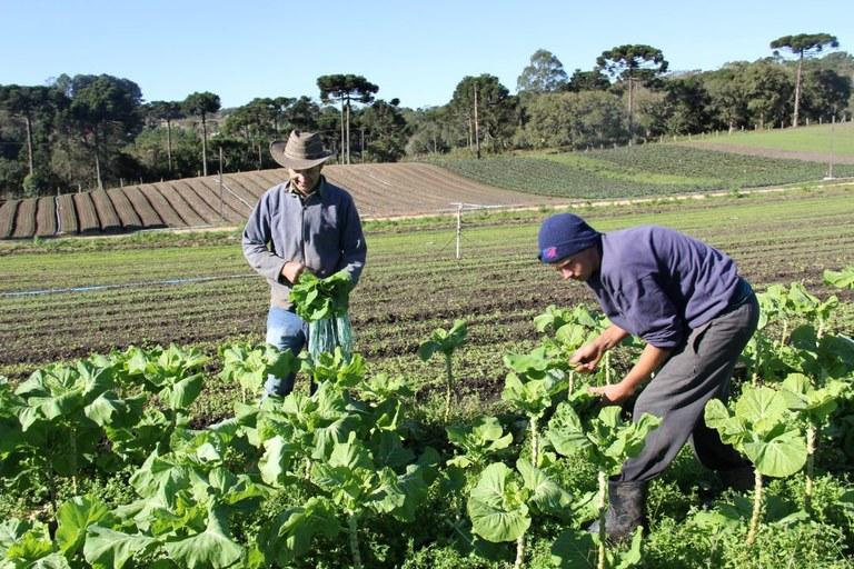 🚜 Gravatal abre chamada pública para compra de alimentos da agricultura familiar