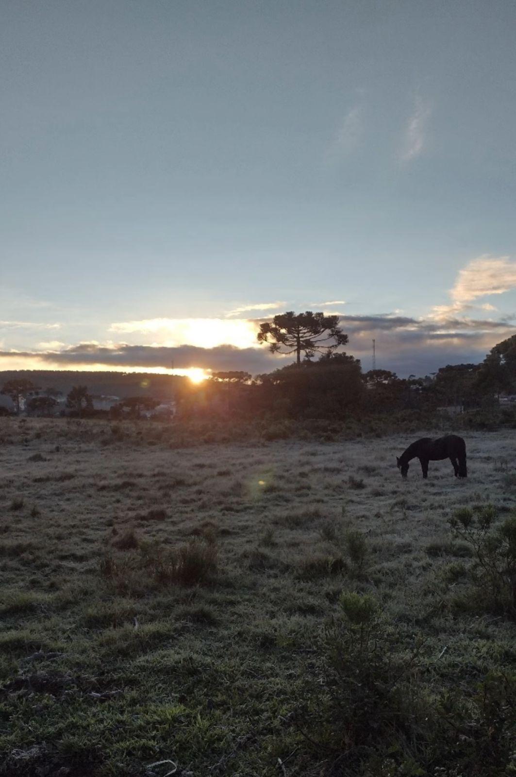 📉 Santa Catarina registra as menores temperaturas do ano com marcas negativas na Serra