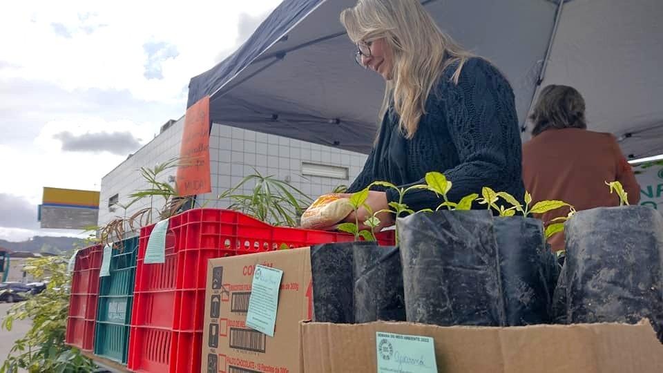 📰 Campanha em Gravatal troca um quilo de alimento por muda de árvore frutífera na Semana do Meio Ambiente