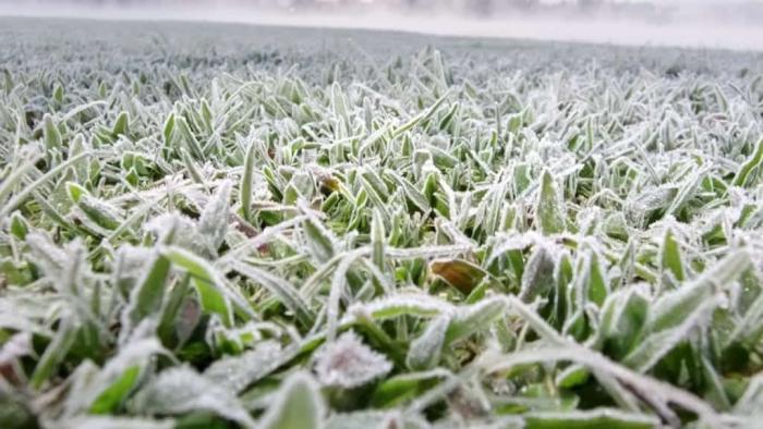 ⚠️ Frio congelante: Bom Jardim da Serra registra -5,6°C e SC tem marcas negativas em várias cidades