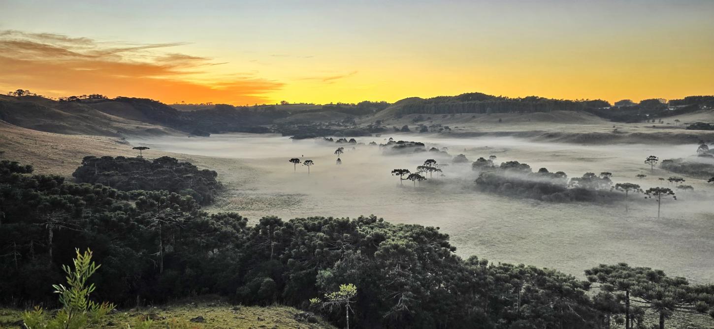 ❄️ Madrugada de Dia das Mães marca chegada de ar polar e mar agitado em SC