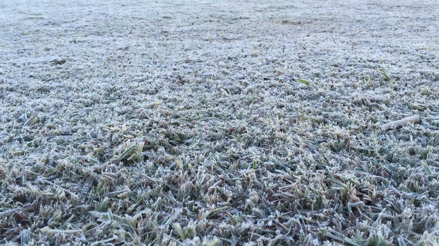 📢 Massa de ar polar ganha força em SC: Defesa Civil alerta para marcas negativas e geada ampla nesta quinta