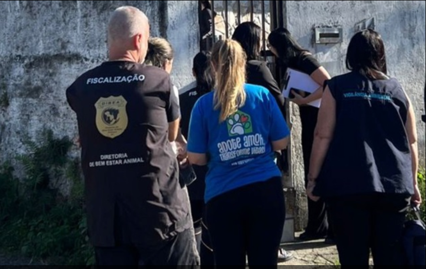 🐶 Operação resgata 32 cães em situação de maus-tratos