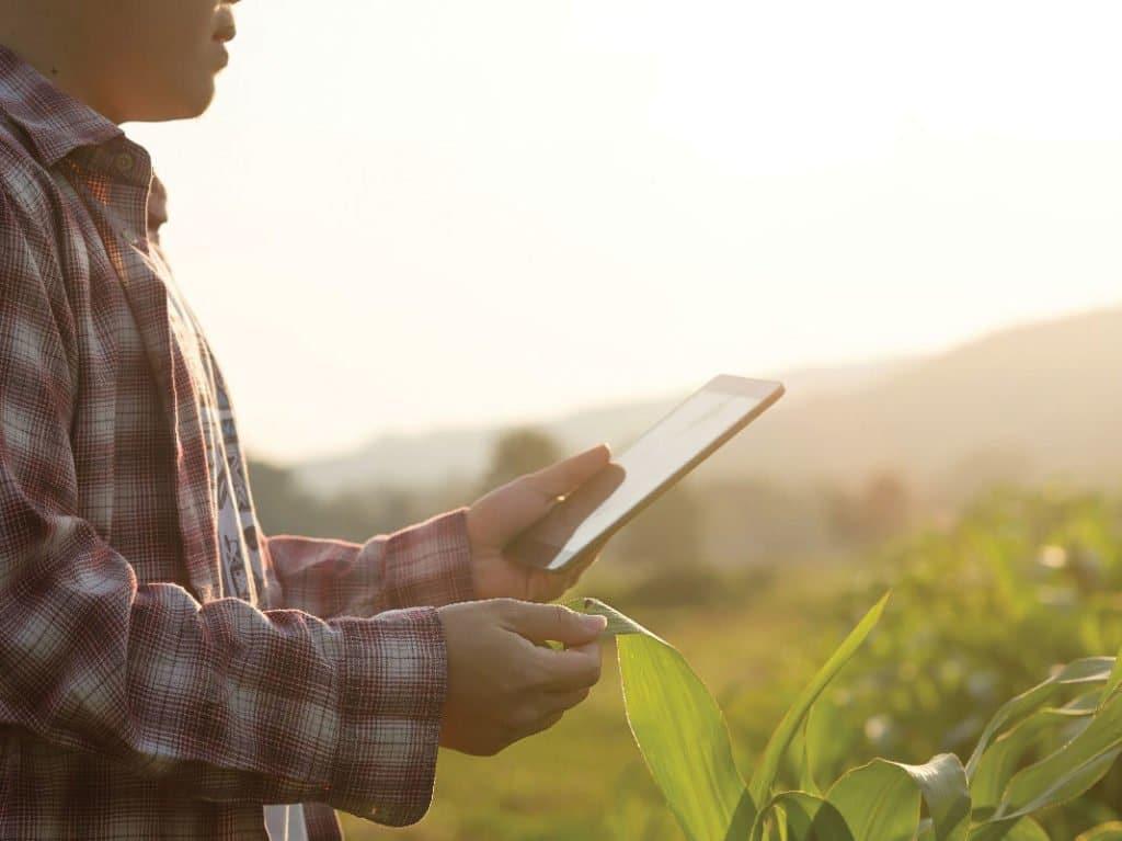 📦 Alesc aprova pacotão com internet rural de R$ 770 milhões, nova certificação sanitária e venda de imóveis