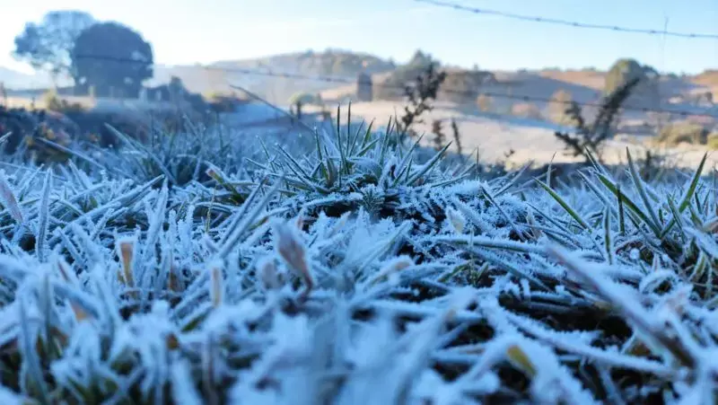 🥶 Com recorde de -6,7°C em Bom Jardim da Serra, ao menos 14 cidades de SC registram marcas negativas nesta quarta