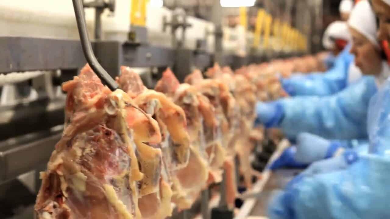 🥩 Cooperativas agropecuárias respondem por mais de um quarto de todas as exportações de Santa Catarina