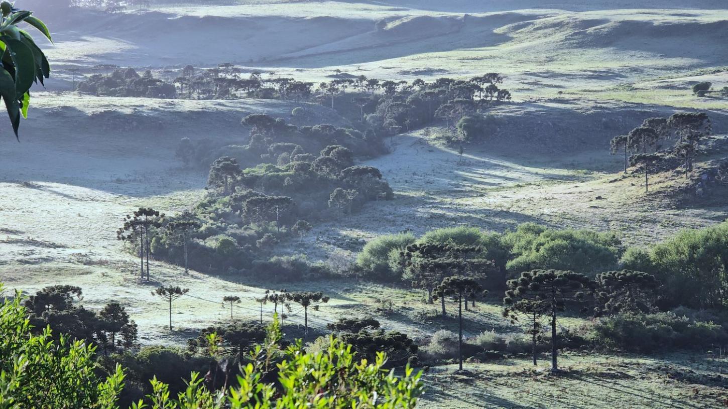 ❄️ Frio intenso marca amanhecer em Santa Catarina; Bom Jardim da Serra registra -4,2°C