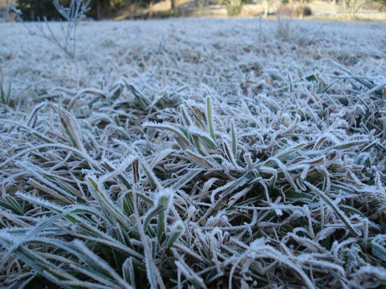 🥶 Massa de ar frio avança e traz geada ampla com temperaturas negativas para Santa Catarina