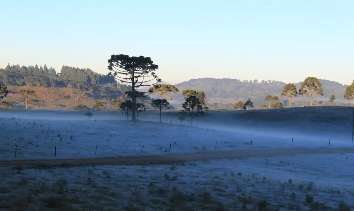 ❄️ Massa de ar frio se consolida em SC e terça-feira terá formação de geada ampla e marcas negativas