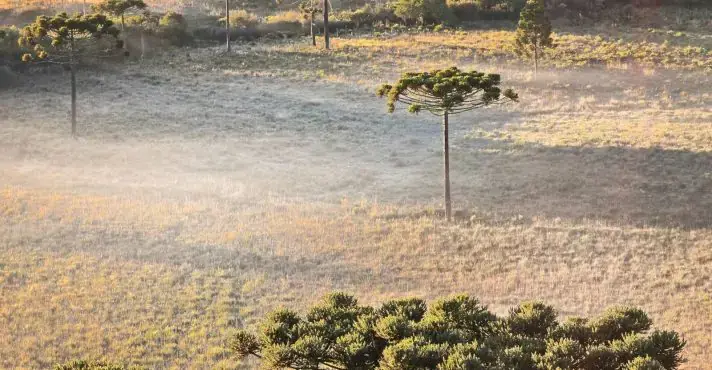 ❄️ Massa polar mantém SC congelada nesta sexta (26), mas formação de frente fria traz chuva e temporais no sábado (27)