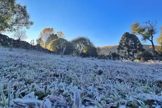 🥶 SC registra novo recorde de frio com -7,1°C no amanhecer desta quinta-feira