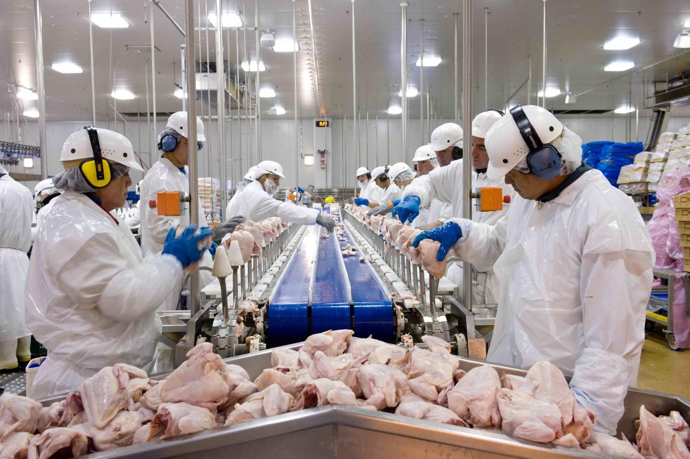 Cooperativas de SC faturam US$ 2,18 bilhões com exportações em 2025
