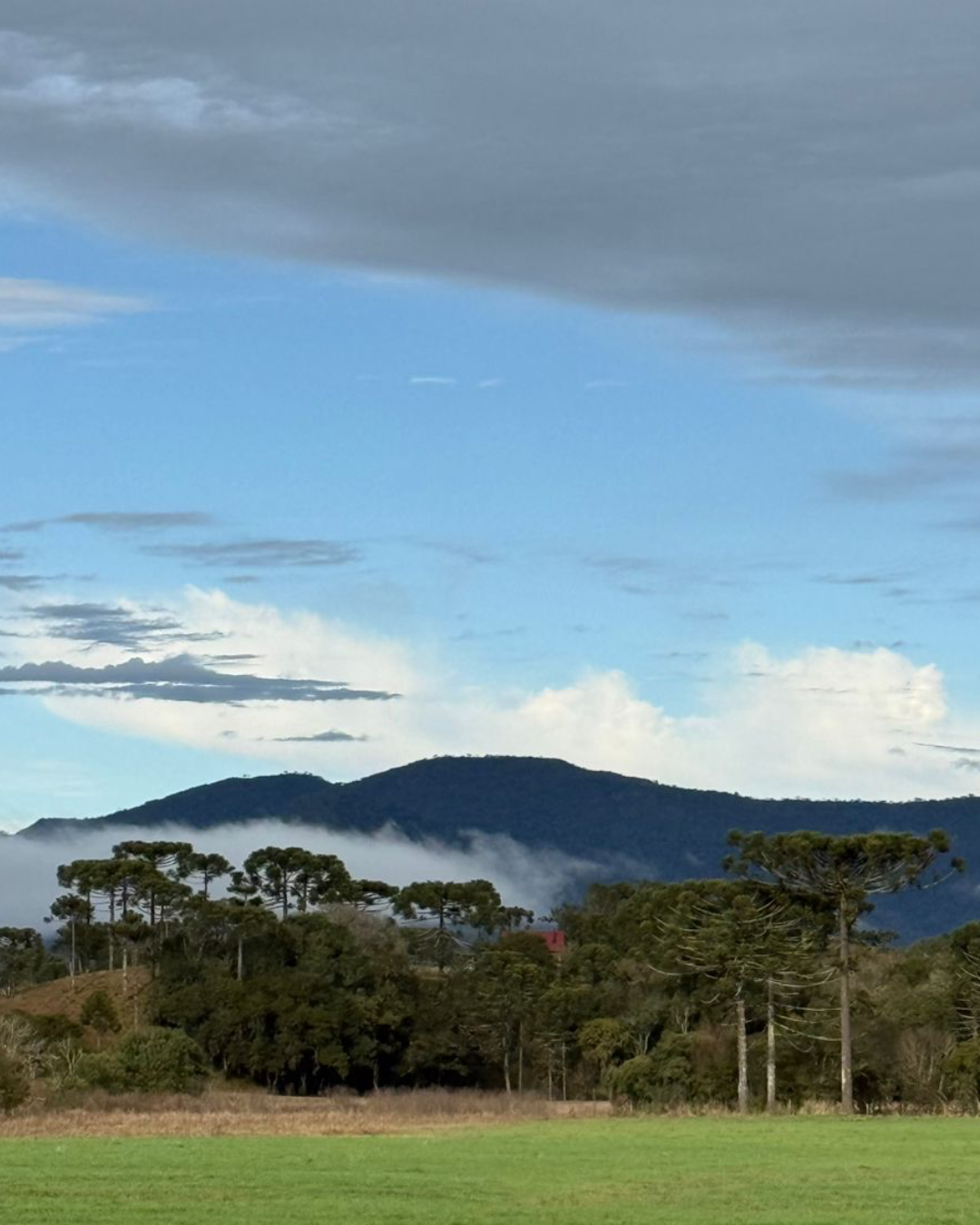 Domingo de sol antecede nova virada no tempo e chegada de frente fria com temporais nesta segunda (6)