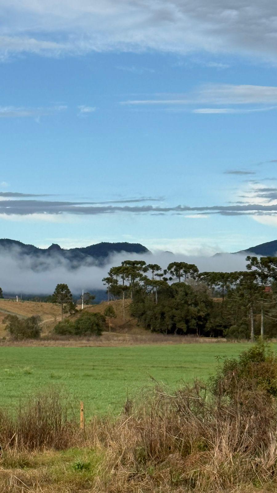 Massa de ar frio e seco estabiliza o tempo e despenca temperaturas em Santa Catarina nesta quarta-feira (8)