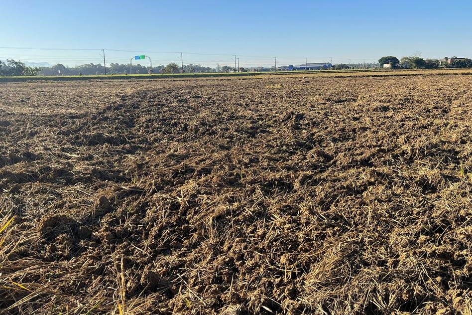 🚜 Rizicultores de SC intensificam preparo do solo para a safra de arroz 2026/2027