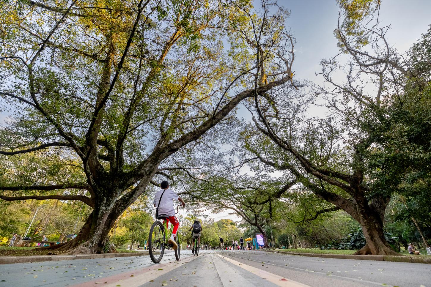 Santa Catarina sanciona pacote de novas leis com foco em economia, saúde e turismo