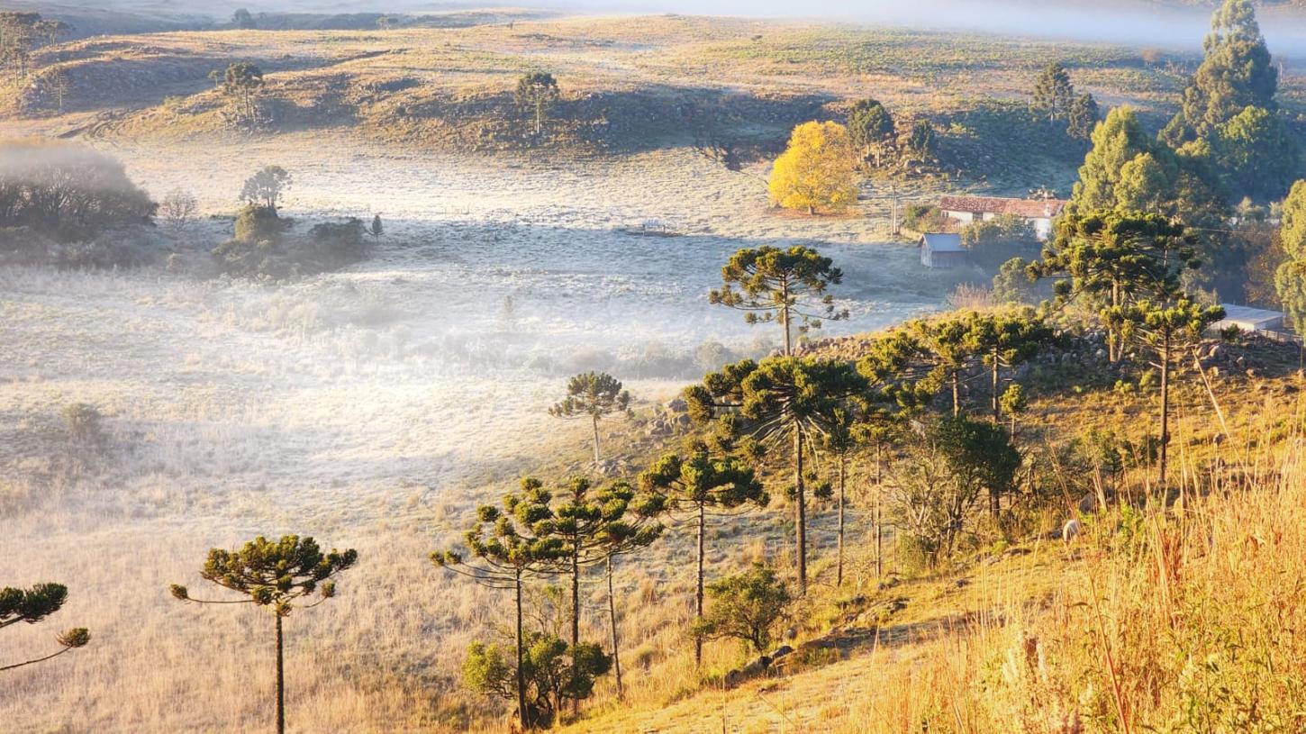 Madrugada registra até -9,1°C na Serra e frio mantém geada ampla e mar agitado em Santa Catarina