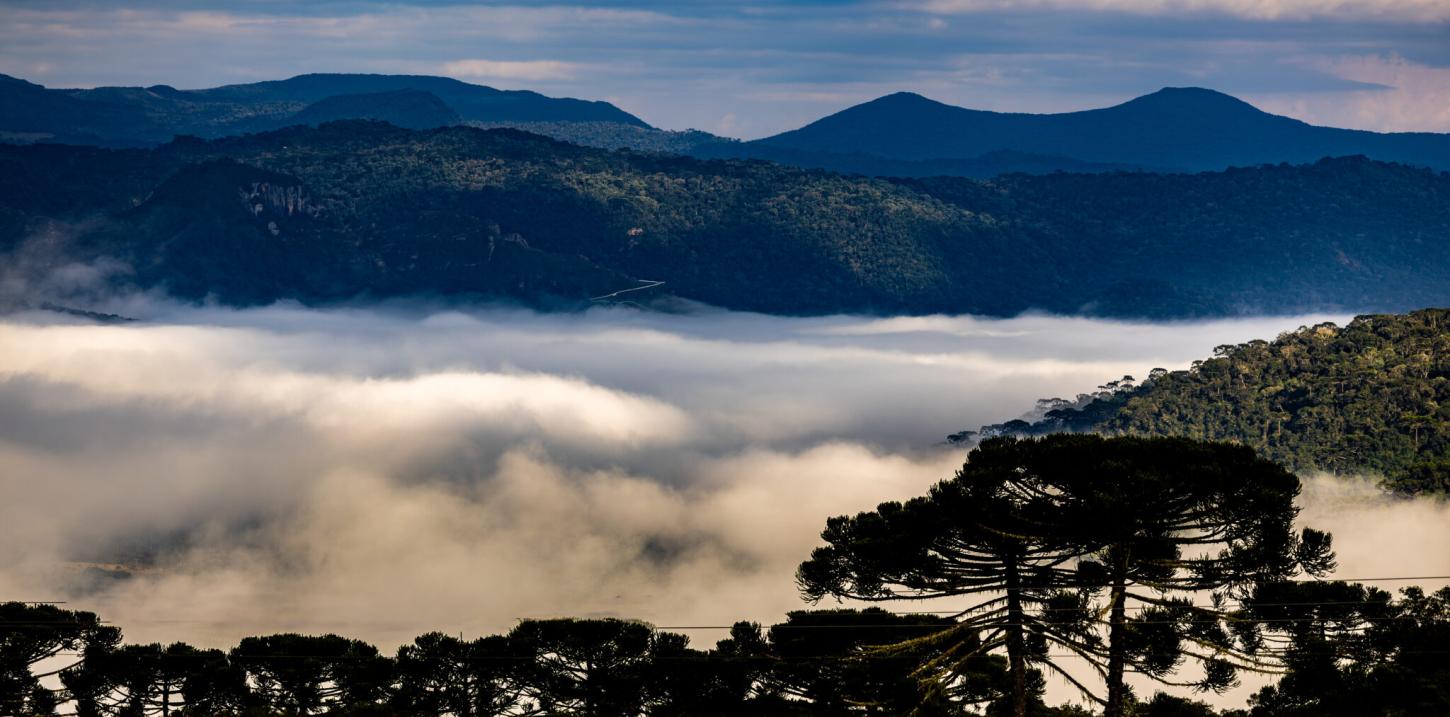 Massa de ar frio derruba temperaturas em Santa Catarina com mínimas de até 4°C e alerta de ressaca