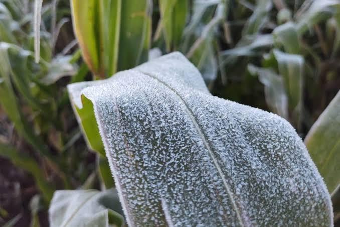 Ar frio derruba termômetros para até 0°C com geada e mar fica agitado na costa de Santa Catarina