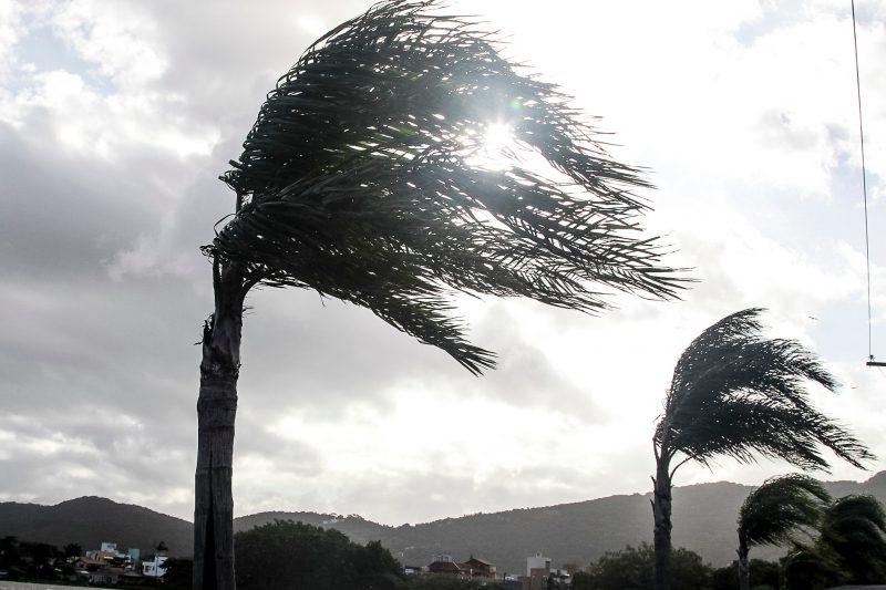 Ciclone extratropical provoca rajadas de vento de até 70 km/h em SC e antecede onda de frio com 0°C na Serra