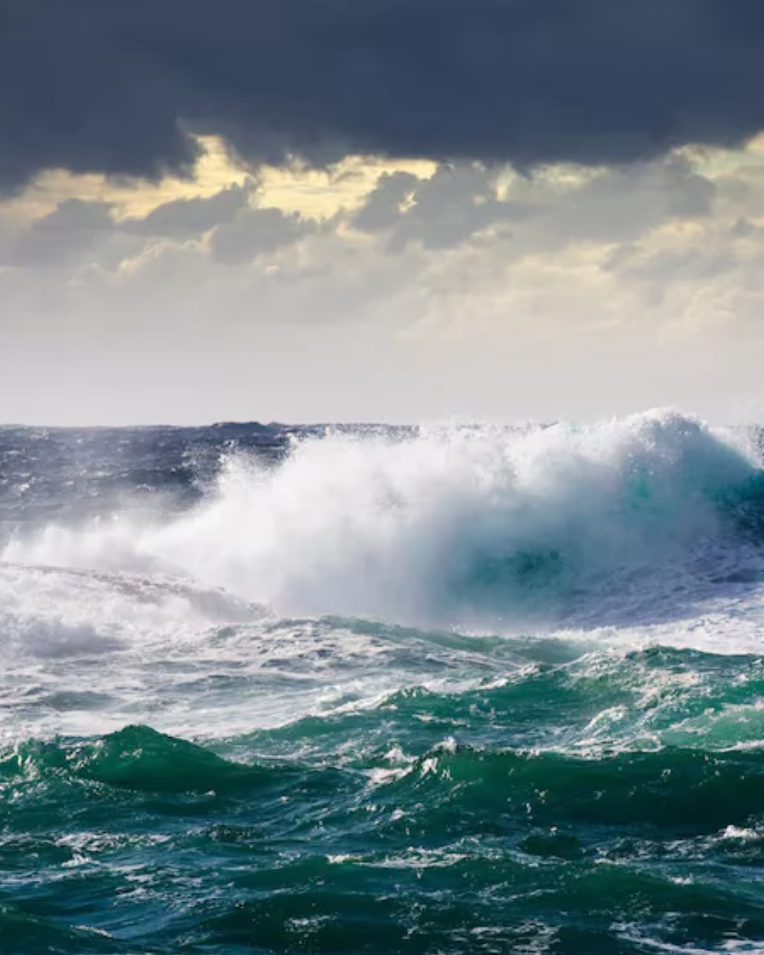 Domingo com ventos fortes, declínio nas temperaturas e mar agitado em Santa Catarina