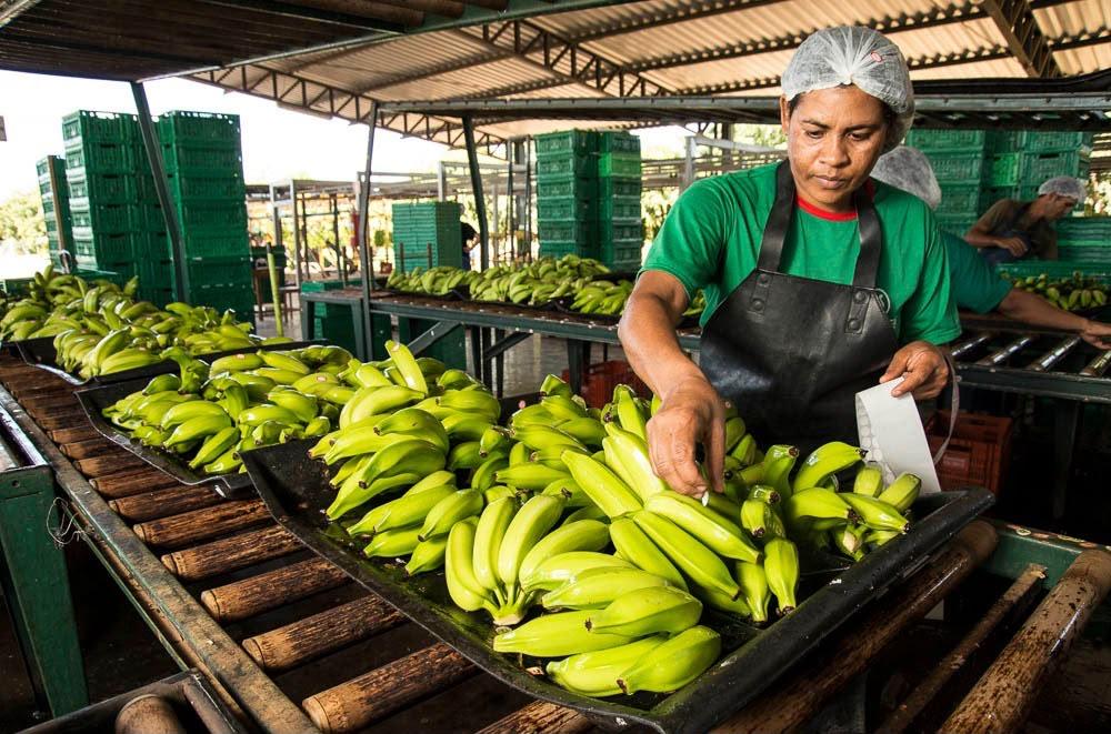 Pequenos negócios correspondem a 88% das empresas e geram metade dos novos empregos em Santa Catarina