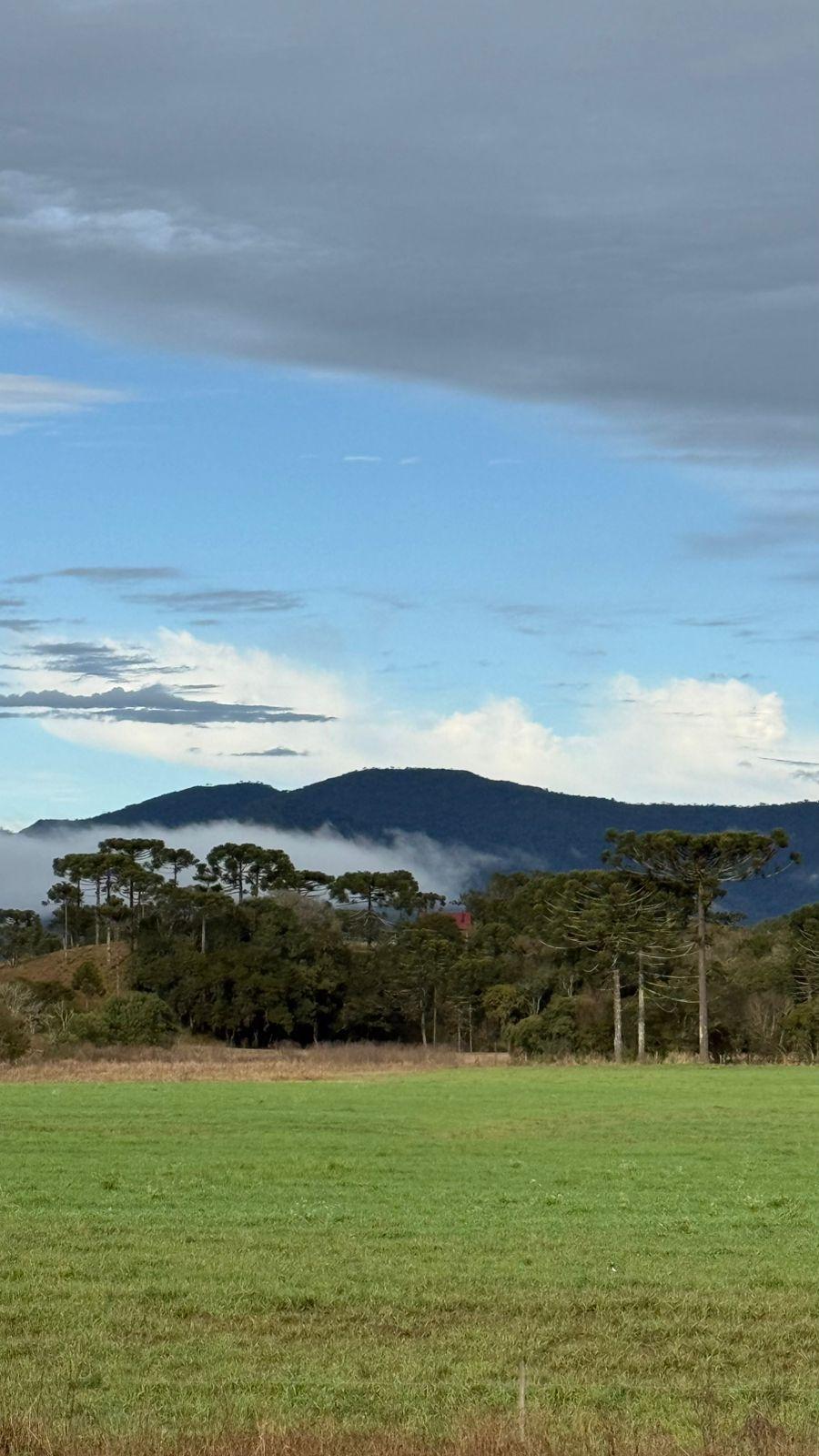 Tempo firme predomina em Santa Catarina com manhãs frias e tardes agradáveis