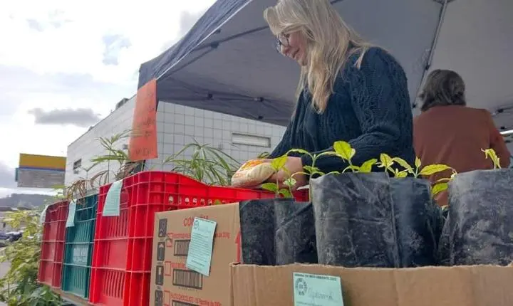 📰 Campanha em Gravatal troca um quilo de alimento por muda de árvore frutífera na Semana do Meio Ambiente