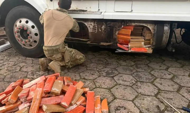 Cão farejador da PRF localiza 581 kg de maconha escondidos em tanque de carreta na BR-282