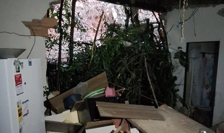 Chuvas severas afetam 57 municípios em SC; deslizamento atinge casa em Braço do Norte e quatro cidades decretam emergência