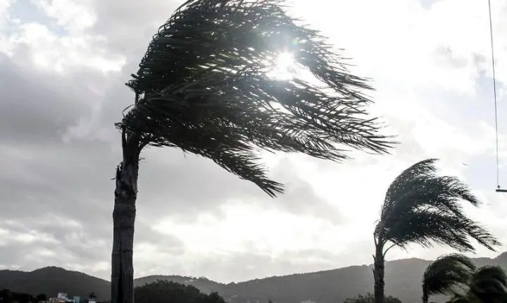 Ciclone extratropical provoca rajadas de vento de até 70 km/h em SC e antecede onda de frio com 0°C na Serra