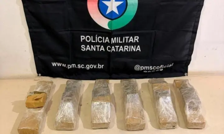 Com apoio de cão farejador, PM apreende maconha, cocaína e crack em quitinete
