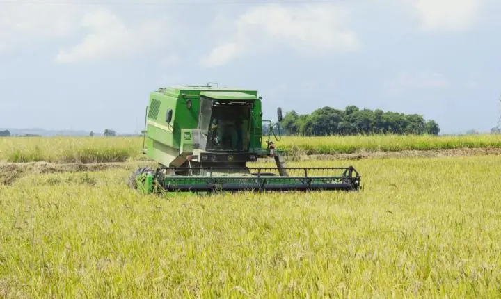 🍚 Conflito no Oriente Médio encarece produção de arroz em Santa Catarina