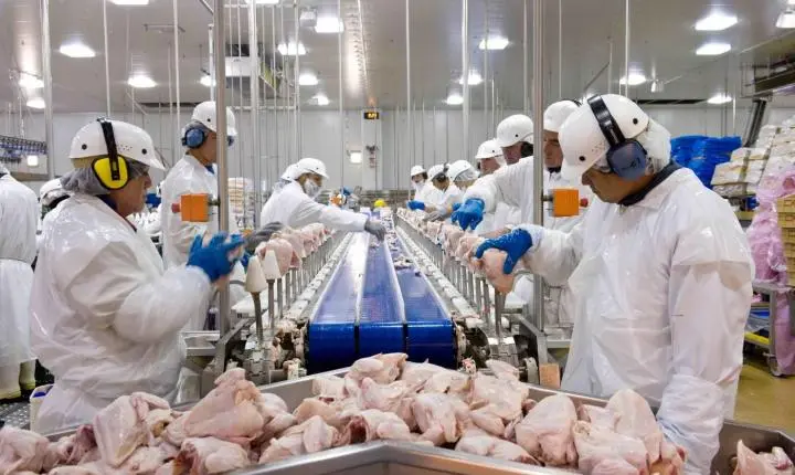 Cooperativas de SC faturam US$ 2,18 bilhões com exportações em 2025