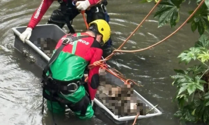 🚨  Corpo em decomposição com marcas de tiros é encontrado à beira de córrego no Sul de SC