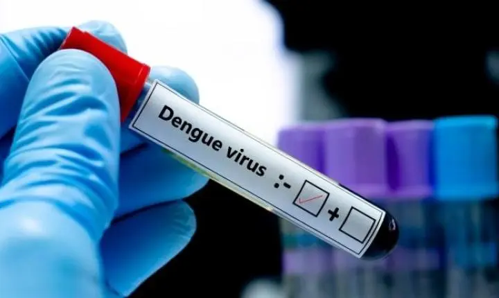 📢 Exames descartam dengue e meningite em caso de óbito investigado em Braço do Norte